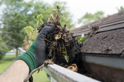 Gutter Debris Removal in Action