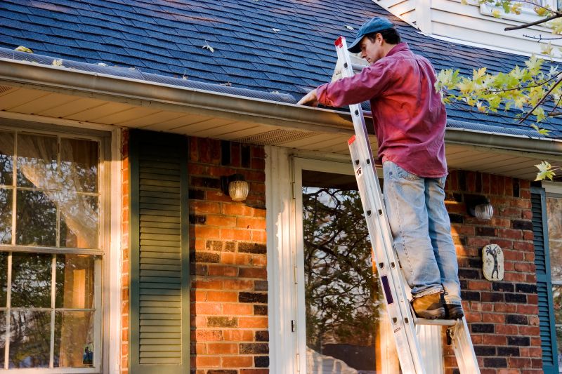 Gutter Clog Removal in Longmont, CO